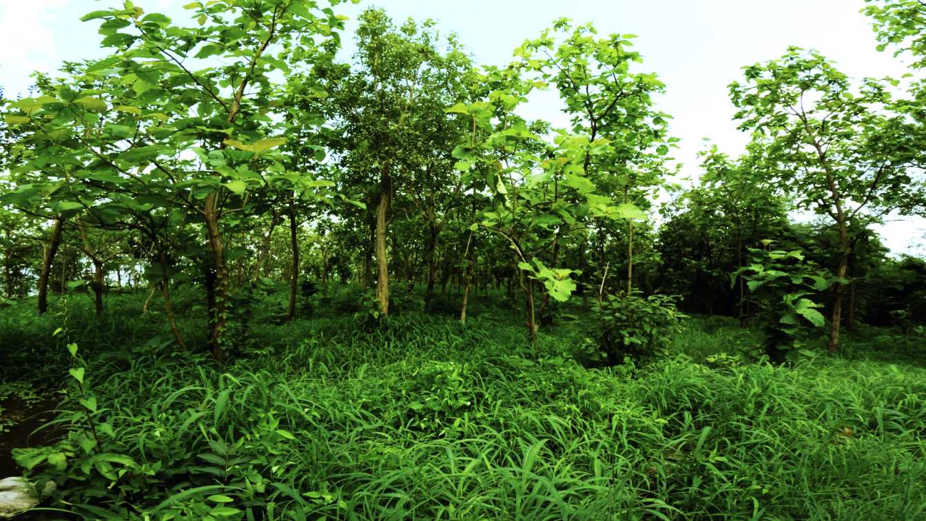 TRANQUILL extra image left